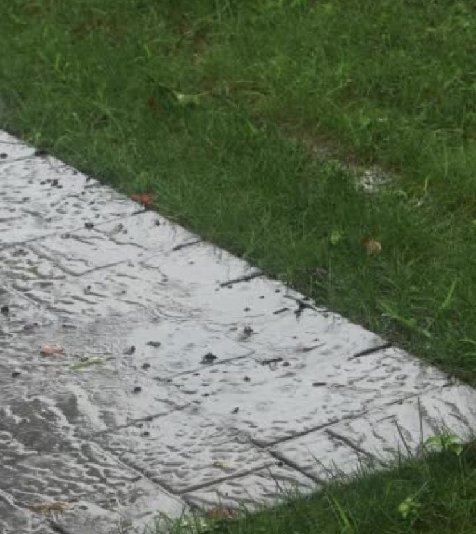 郊区院子里的轻度飓风雨和风