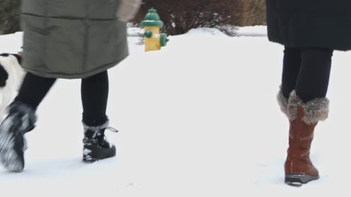 朋友在小镇上积雪覆盖的人行道上walking狗