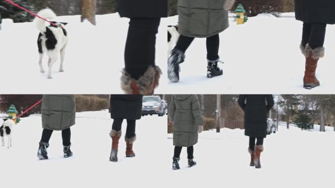 朋友在小镇上积雪覆盖的人行道上walking狗