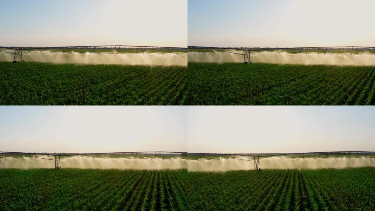 日落时的电影性质。飞过水面，喷洒着绿色的农场。美丽的阳光神奇地突出了洒水的水滴。具有复制空间的理想背