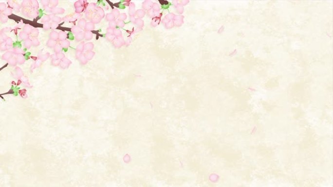 樱花花瓣落在日式樱花背景插图4k视频素材上的循环动画。