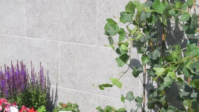 花店外部有插花和花束。鲜花准备在花店前出售。花店外部有插花和花束。小花店前的鲜花和家居装饰。欧洲的街