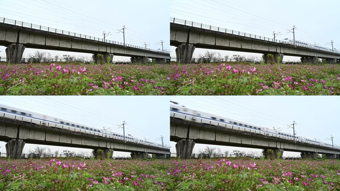春天高速列车从铁路高架桥上驶过