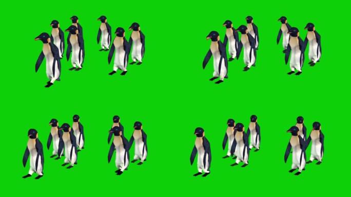 企鹅在绿色屏幕上行走
