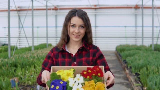 专业花店或书呆子拿着一个工艺盒，里面有5盆五颜六色的花