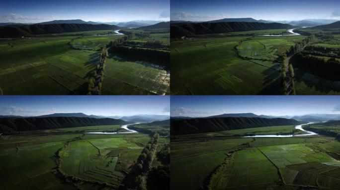 稻田-耕地三农业农田园耕地种植大米水稻丰