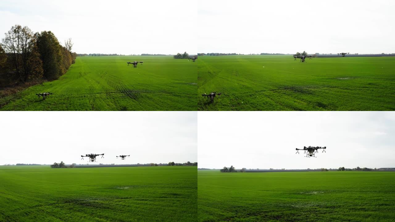 agrodrone用空气中的驱虫剂处理田地。喷雾器农用无人机直播。高质量4k镜头。四轴飞行器在田间飞