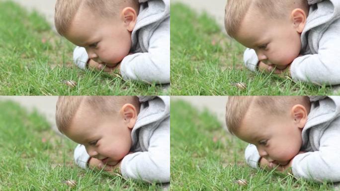 特写肖像男婴儿童看花园蜗牛爬行绿草