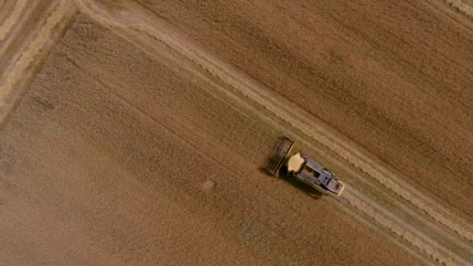 现代联合收割机收集成熟小麦的鸟瞰图。