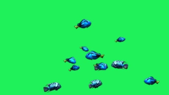 绿色背景上的动画蓝色卡通鱼。