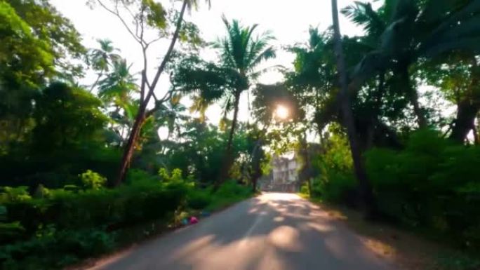 在晴朗的蓝天下，棕榈树成行的道路经过。