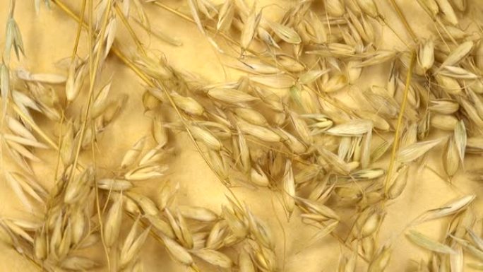 燕麦穗躺在淡黄色的织物上，背景