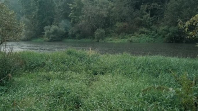 河流在流动，正在下雨，有青草和氰化物色调