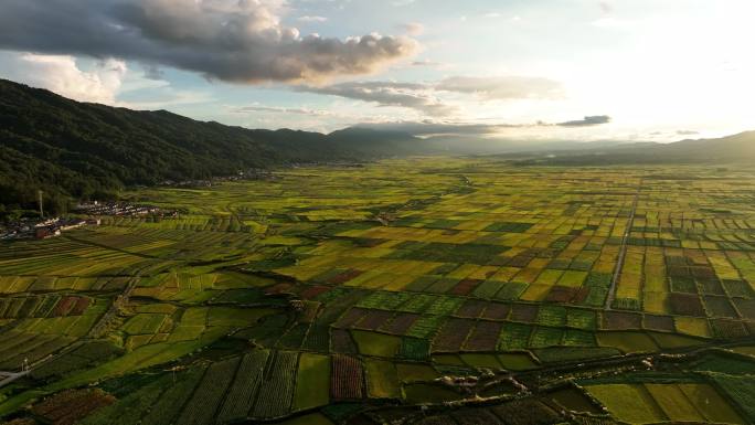 夕阳余晖中的金色田野