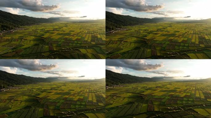 夕阳余晖中的金色田野