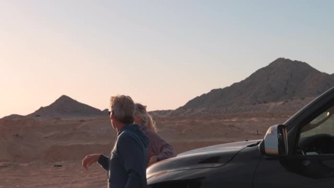沙漠环境中的成熟夫妇与皮卡车暂停