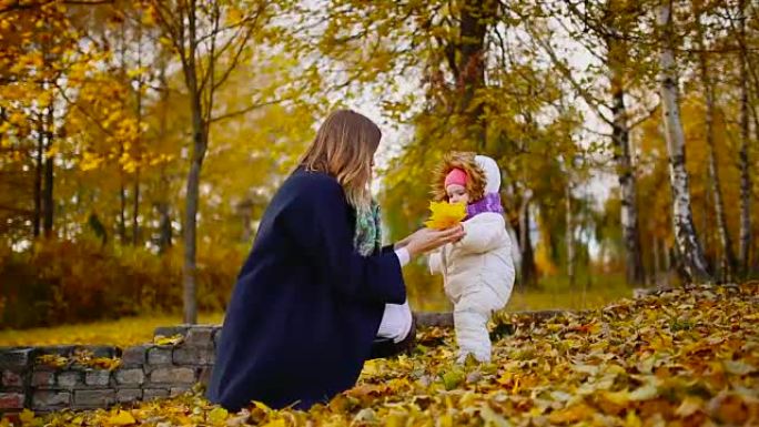 秋天，当黄色的叶子围绕着妈妈和女孩玩枫叶，笑着微笑。妈妈在秋天拥抱和我女儿玩耍。波克和阳光