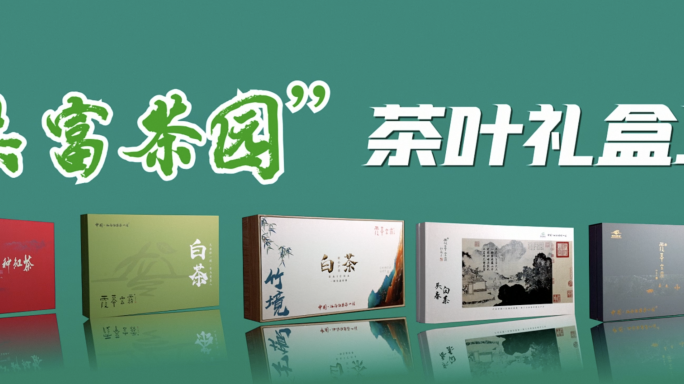 产品包装发布展示