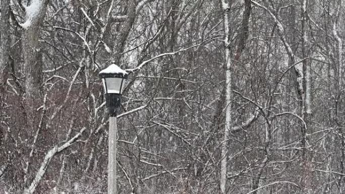 降雪和路灯