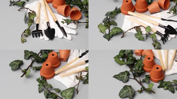 旋转小陶瓷花盆、手套、园艺工具和绿叶