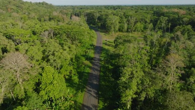 驾车穿越茂密雨林的街道的俯视图。穿过茂密丛林的街道的俯视图