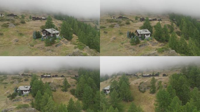 空中无人机拍摄了山区小山上木屋附近的松树