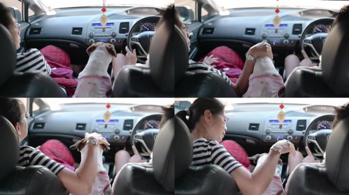 公路旅行喜欢和狗一起开车