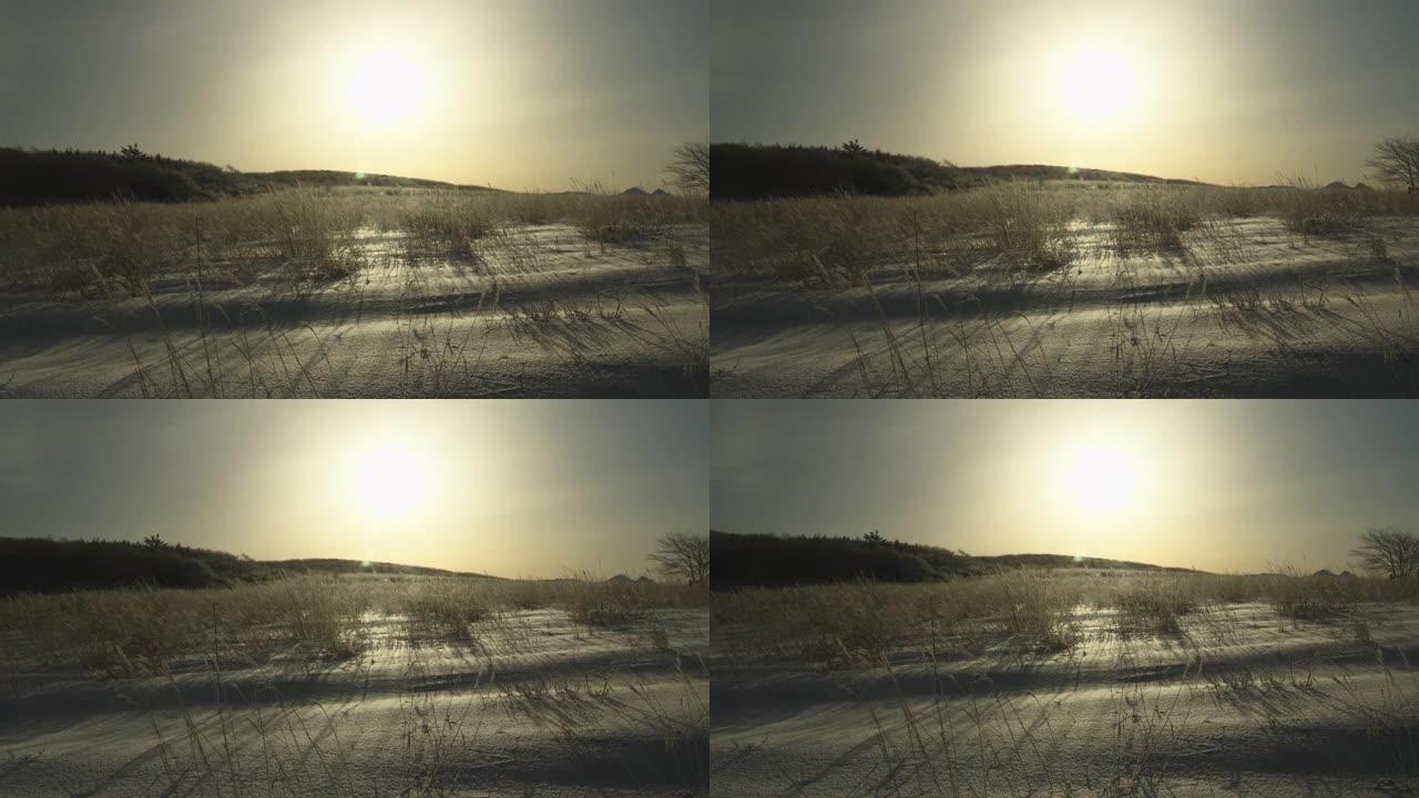 早晨的雪原和冰冻的草