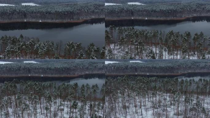 鸟瞰树梢覆盖在森林冬日的湖面积雪平静。宁静的自然，新鲜的空气，干净的蓝色水。在美丽安静的冬季湖上飞越