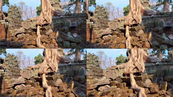 神秘的古代遗迹Preah Khan寺-柬埔寨著名的地标，吴哥窟的寺庙建筑群。柬埔寨暹粒。