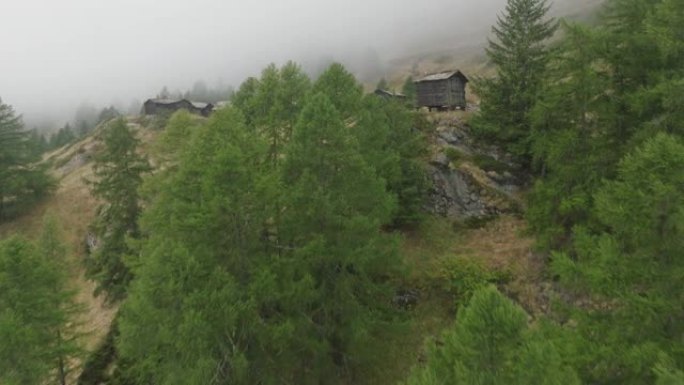 空中无人机拍摄了山区小山上木屋附近的松树