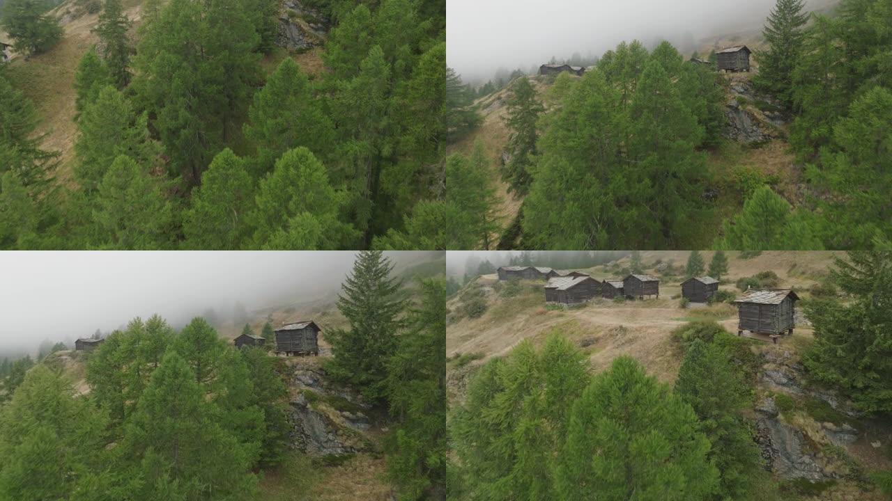 空中无人机拍摄了山区小山上木屋附近的松树