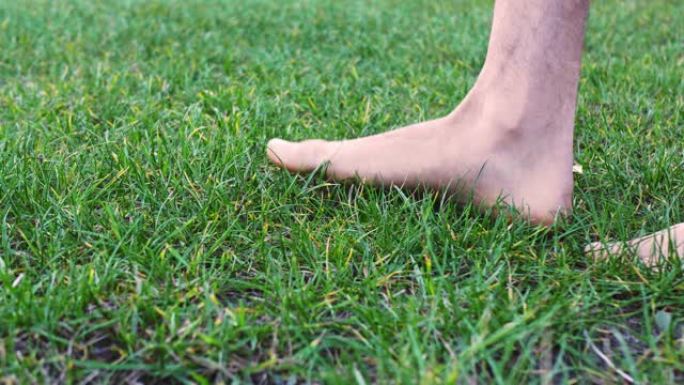 光秃秃多毛的公腿在绿草地上行走。与自然的统一。博物学家
