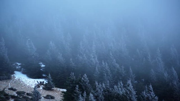 雪，云和雾在下面滚动的山脉的风景