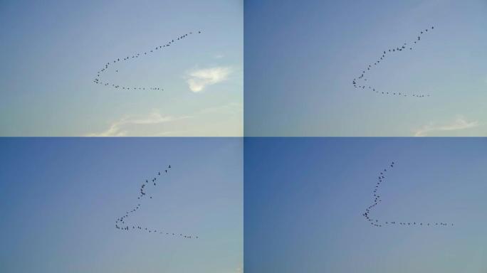 鹤飞走了，一群鸟在秋天的蓝天上飞得很高，慢