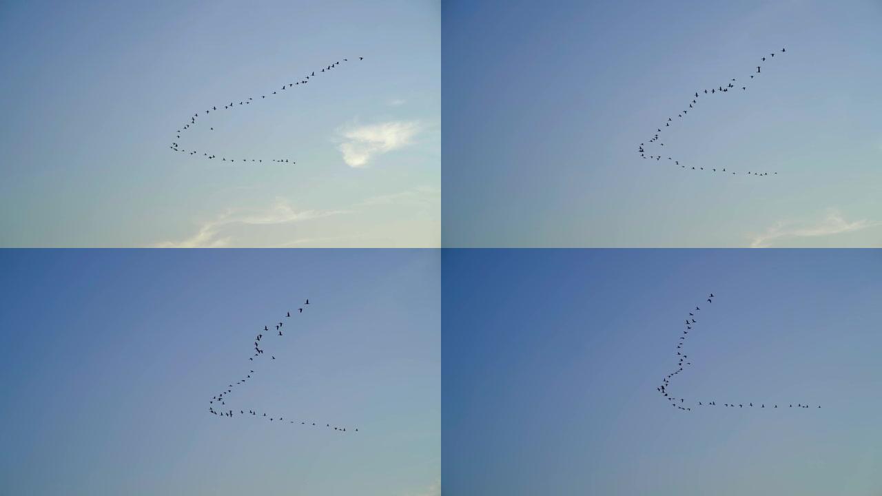鹤飞走了，一群鸟在秋天的蓝天上飞得很高，慢
