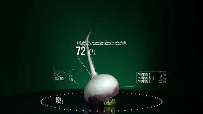 萝卜与维生素、微量元素矿物质的信息图。能量、卡路里和成分