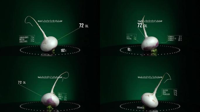 萝卜与维生素、微量元素矿物质的信息图。能量、卡路里和成分