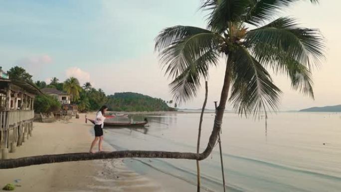 在海滩上的椰树上行走的女人的鸟瞰图