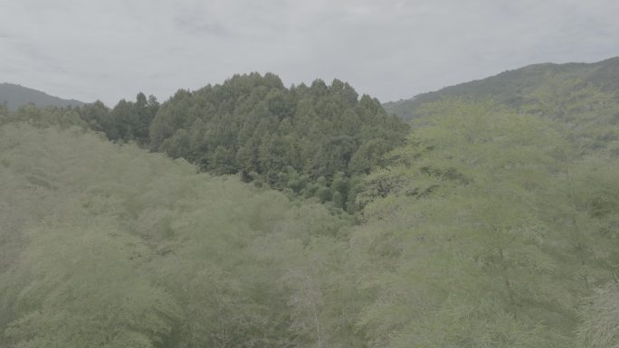 皖南山村航拍