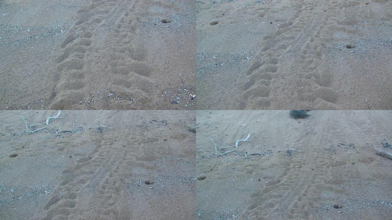 加拉帕戈斯群岛上的沙子。