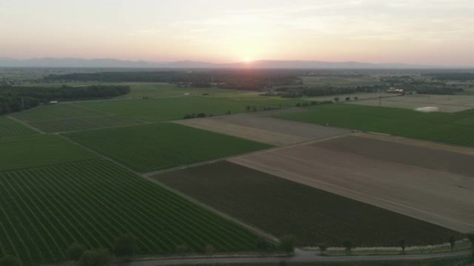 日落时对农村农田的空中无人机拍摄