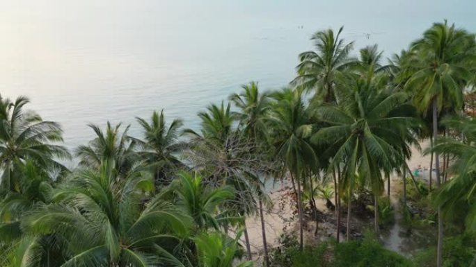 苏梅岛田园诗般的海滩鸟瞰图