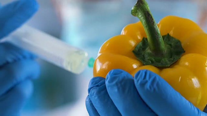 实验室助理注射乳化剂，使辣椒长时间保持新鲜