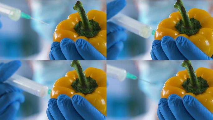 实验室助理注射乳化剂，使辣椒长时间保持新鲜