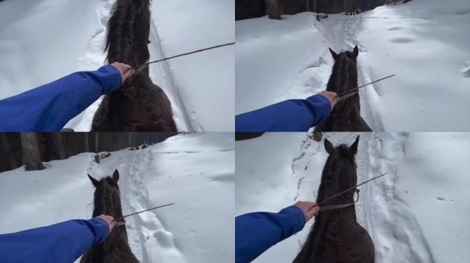 POV第一人称视角在雪道上骑马进入山区