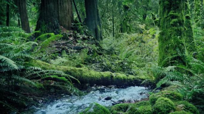 流经深林高山峰山涧山脉连绵翻滚