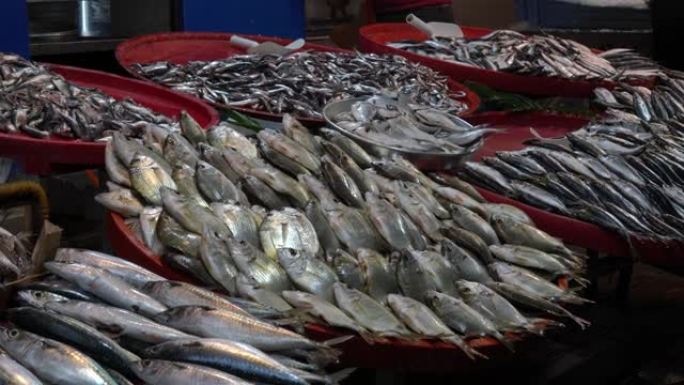 medditerranian鱼类准备出售4k小型企业镜头