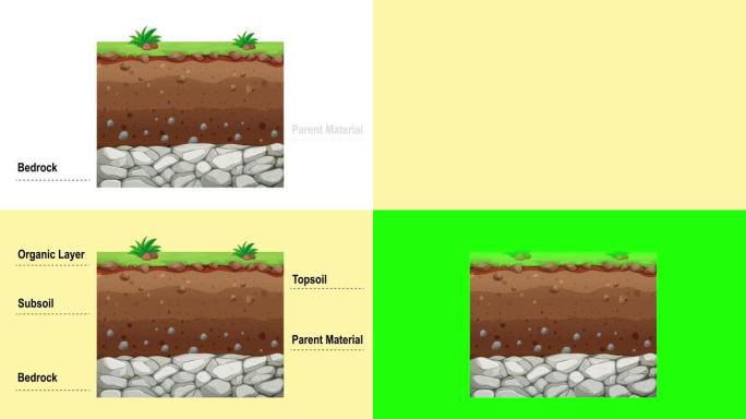 带有名称的土壤层的详细动画
