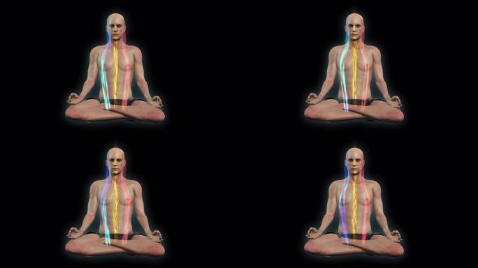 这个股票视频的特点是一个男人在火木或双鸽姿势进行瑜伽冥想。Alpha文件透明背景。提醒我们所有人都可